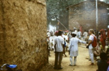 Gauri Dance, Bhils (Iconographic document)