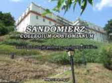 Sandomierz-Collegium Gostomianum : dokumentacja polowa - opisowa : charakterystyka grobów