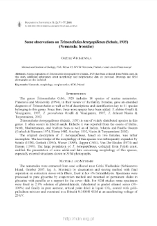 Some observations on Trissonchulus benepapillosus (Schulz, 1935) (Nematoda: Ironidae)