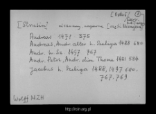 Mirzejewo-Strusino. Files of Ostroleka district in the Middle Ages. Files of Historico-Geographical Dictionary of Masovia in the Middle Ages