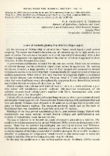 A case of exudative pleurisy in a wild fox (Vulpes vulpes)