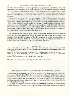 The origin of island races of Apodemus sylvaticus : an alternative hypothesis