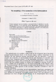 The morphology of the mammalian cervical pleurapophysis