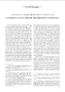 Late medieval wrought iron firearms from the Museum in Biecz