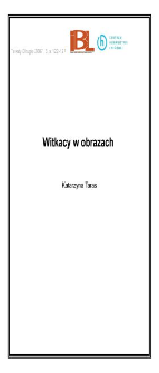 Witkacy w obrazach