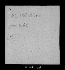 Rylsk Mały. Files of Biala Rawska district in the Middle Ages. Files of Historico-Geographical Dictionary of Masovia in the Middle Ages