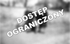 [A walk] [An iconographic document]