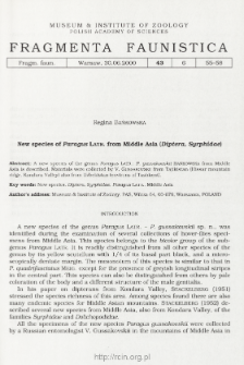 New species of Paragus Latr. from Middle Asia (Diptera, Syrphidae)
