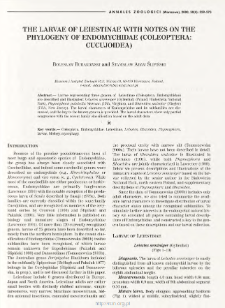 The larvae of Leiestinae with notes on the phylogeny of Endomychidae (Coleoptera: Cucujoidea)