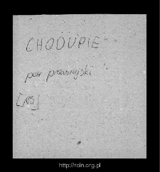 Chodub. Files of Przasnysz district in the Middle Ages. Files of Historico-Geographical Dictionary of Masovia in the Middle Ages
