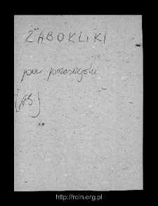 Żaboklik. Files of Przasnysz district in the Middle Ages. Files of Historico-Geographical Dictionary of Masovia in the Middle Ages