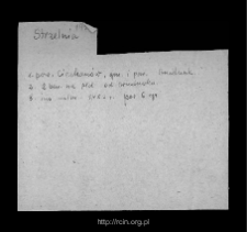 Strzelnia. Files of Przasnysz district in the Middle Ages. Files of Historico-Geographical Dictionary of Masovia in the Middle Ages