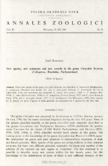 New species, new synonyms and new records in the genus Caryedon SCHŐNH. (Coleoptera, Bruchidae, Pachymerinae)