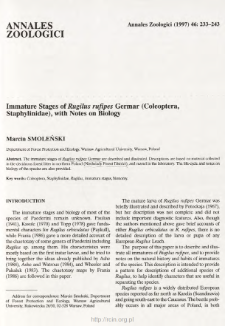 Immature stages of Rugilus rufipes Germar (Coleoptera, Staphylinidae), with notes on biology