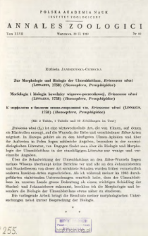 Trionymus luzensis sp. n. (Homoptera, Coccoidea, Pseudococcidae) from Poland