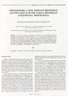 Epuraeosoma, a new genus of Histerinae and phylogeny of the family Histeridae (Coleoptera, Histeroidea)