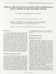 Notes on the Marioutinae (Coleoptera: Dermesidae) with a review of the described species
