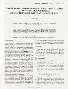 Strabocephalium Mroczkowskii sp.nov. and S. Kistneri sp. nov. from the Philippines (Coleoptera: Staphylinidae: aleocharinae)