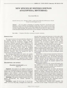 New species of histerid beetles (Coleoptera, Histeridae)