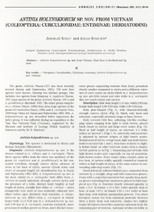 Mroczkowskiella gen. nov. and revision of the genus Decophthalmus Chevrolat, 1878 (Coleoptera: Curculionidae: Brachyderinae: Dermatodini)