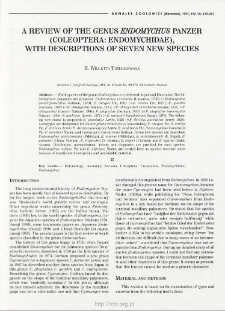 A review of the genus Endomychus Panzer (Coleoptera: Endomychidae), with descriptions of seven new species