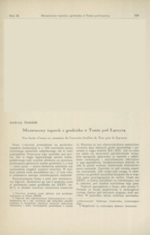 Miniaturowy toporek z grodziska w Tumie pod Łęczycą