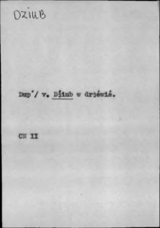 Kartoteka Słownika języka polskiego XVII i 1. połowy XVIII wieku; Dzi&oacute;b - Dzwon