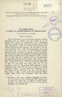 Die Leptiden Formen im Gebiete der Europ&auml;isch-Asiatischen und Mittelmeer-Fauna