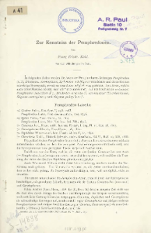 Zur Kenntniss der Pemphredonen