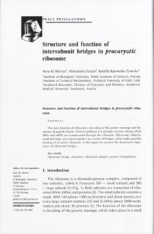 Structure and function of intersubunit bridges in procaryotic ribosome