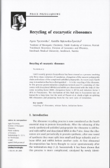 Recycling of eucaryotic ribosomes