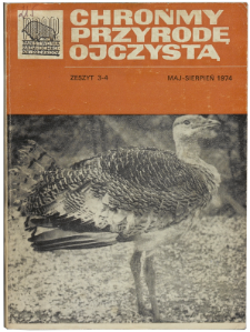 A white-tailed eagle, Haliae&euml;tus albicilla, was killed in Western Pomerania