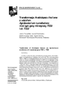 Transformation of Arabidopsis thaliana via Agrobacterium tumefaciens with myrosinase genes TGG1 or TGG2