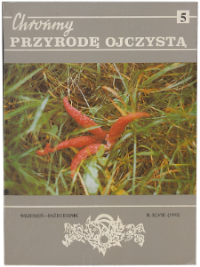 The traveller's-joy Clematis vitalba, in the Ojców National Park