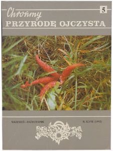 The traveller's-joy Clematis vitalba, in the Ojc&oacute;w National Park