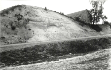 Dworzyska, powiat Zamość : materiały do stratygrafii dyluwium okolic Zamościa