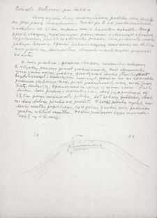 Nałęcz&oacute;w, powiat Lublin : notatka o stratygrafii brzegu doliny Łąkowej z rysunkiem