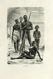 Voyages dans l'Am&eacute;rique du Sud