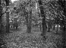 Gr&oacute;dek i okolice