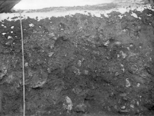 Krak&oacute;w - Ludwin&oacute;w : profil ściany wykopu