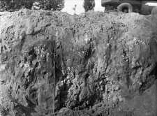 Krak&oacute;w - Ludwin&oacute;w : profil ściany wykopu