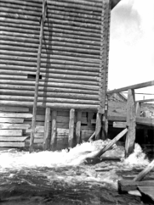 Mierzyce : widok na zaścianek