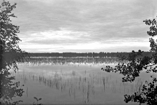 Jezioro Świteź - Nowogródzkie : wczesny ranek