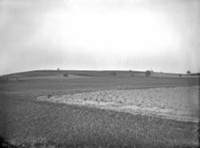 Kolonia Marian&oacute;wka, pow. R&oacute;wne : wzg&oacute;rze "Kamieniczka" od strony południowej