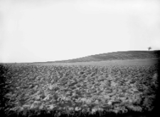 Kolonia Marian&oacute;wka, pow. R&oacute;wne : wzg&oacute;rze "Kamieniczka" od strony południowej