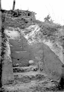 G&oacute;ra Puławska : widok na szurf I z 1949 roku