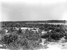 Orońsko, były powiat Szydłowiec : widok z wału wydmowego w stronę N (p&oacute;łnocną)