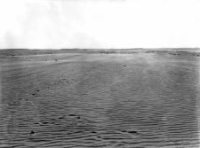 Lubikowicze, powiat sarneński : obszar wydmowy przy drodze z Lubikowicz do Bereżek