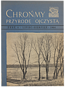 "Diabelski Kamień" (Devil's Stone) in the Beskid Mały (Lesser Beskid) Mtns.