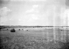 Stanowisko wydmowe (numer inwentarzowy 25)